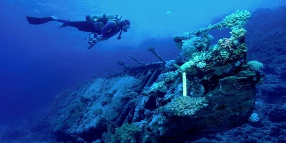 Dive Site